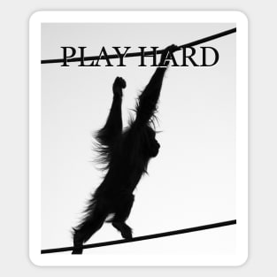 Play Hard Sticker